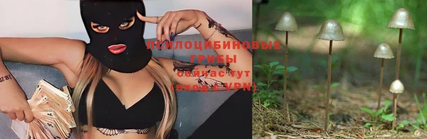 кокаин колумбия Белокуриха