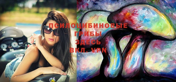 spice Баксан