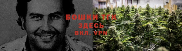 стаф Беломорск