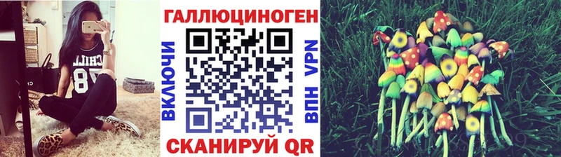 Псилоцибиновые грибы MAGIC MUSHROOMS  площадка состав  Щучье  MEGA зеркало 